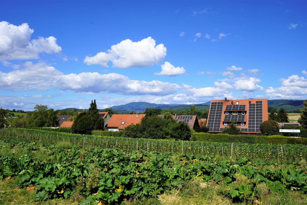 Alte Post Hotel Garni - Schallbach Bei Loerrach Esterno foto