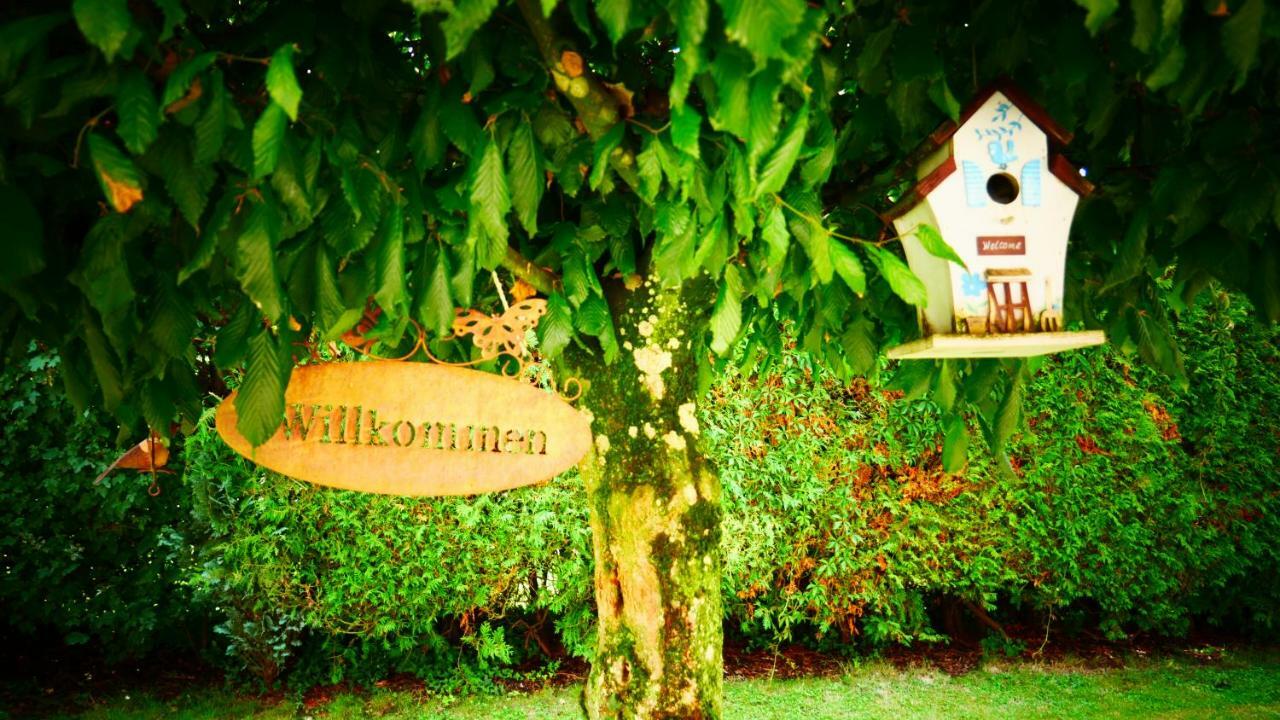 Alte Post Hotel Garni - Schallbach Bei Loerrach Esterno foto